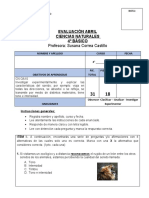 Evaluación Abril Ciencias Naturales 4°bas