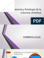 Anatomía y Fisiología de La Columna Vertebral