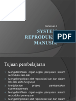 System Reproduksi Manusia