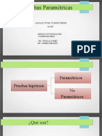 Presentacion Parametricas