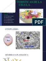 Partes de La Celula (1) histologia