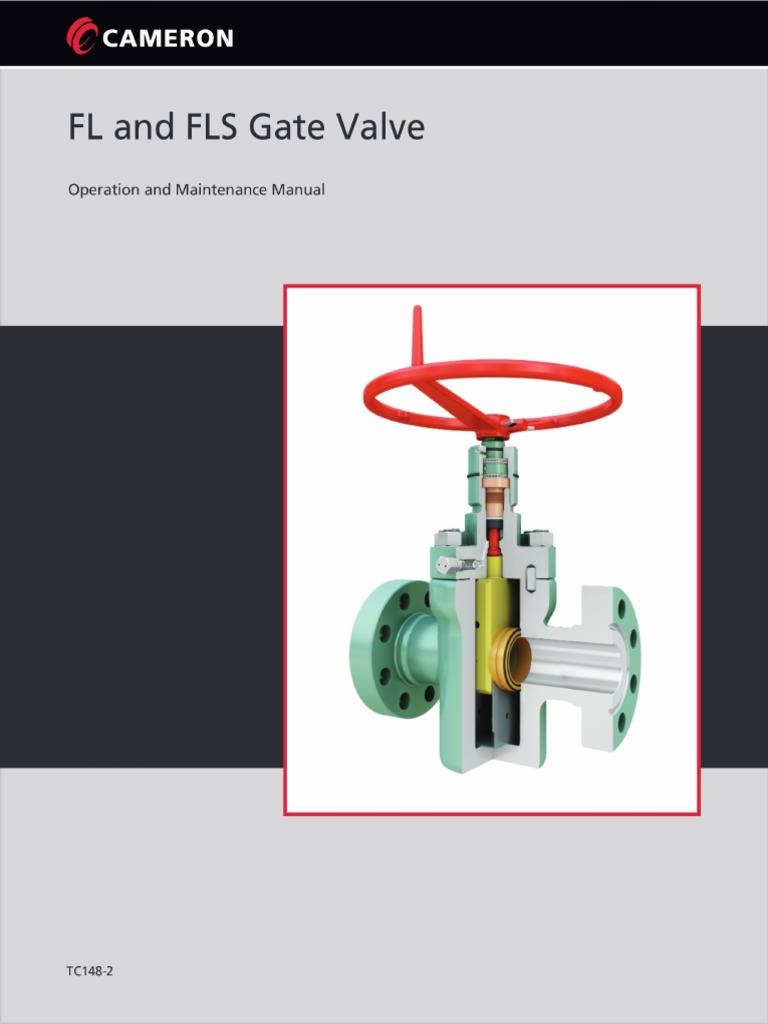 Fls Gate Valve Pdf