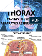 Respiratorni Sistem