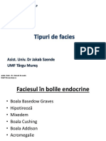 Tipuri de Facies