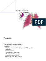 patologie pleurala