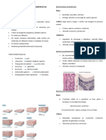 Histologia Teoria-Sesion 1