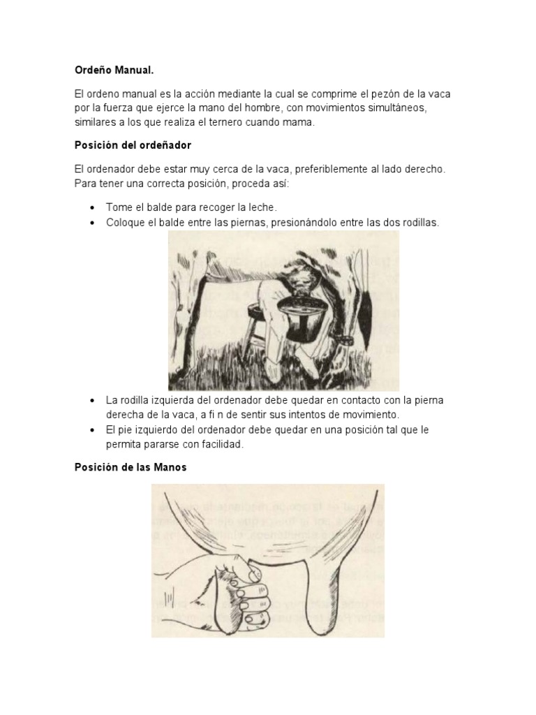 Ordeño Manual y Mecánico de Vacas | PDF | Mano | Leche