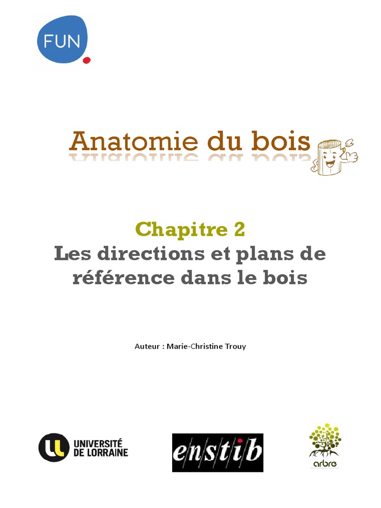 Directions et Plans de Référence du Bois | PDF | Bois | Arbres