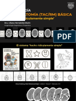 Neuroanatomía Básica PDF