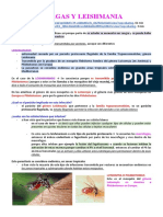 Chagas y Leishmania