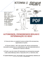 Aula 4 PDF