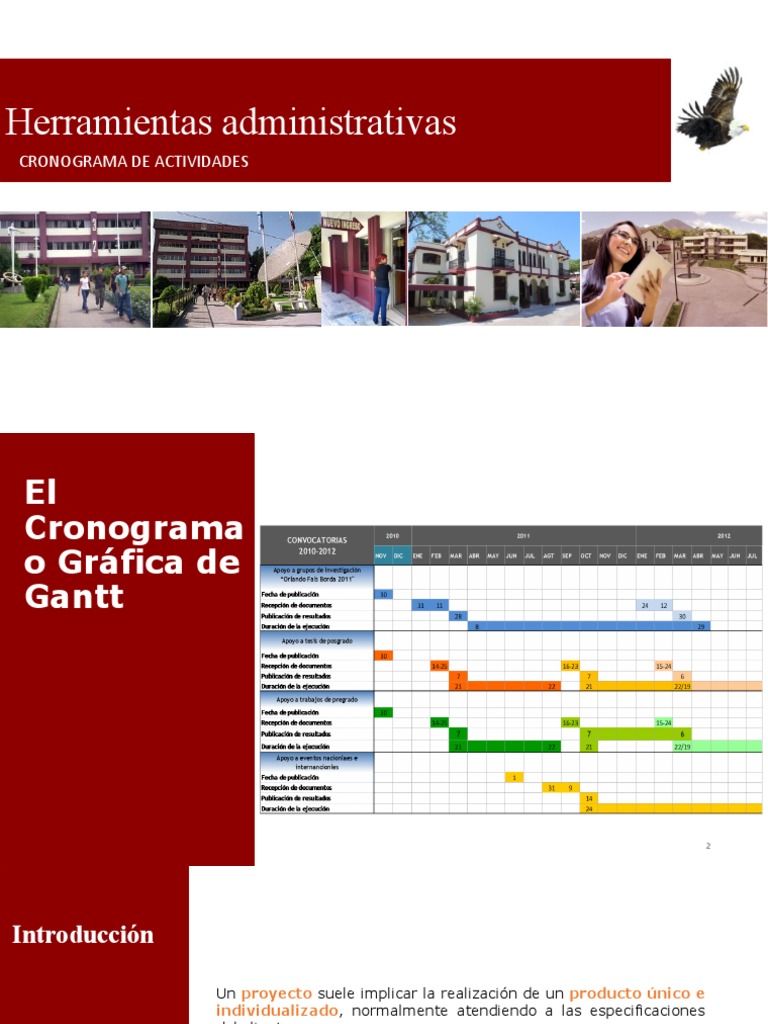 Cronograma y Gráfico de Gantt en Proyectos | PDF | Presupuesto