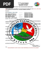 Barangay Health Plan | PDF | Public Health | Governance