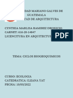 S5-Infografia-Ciclos Biogeoquimicos-Cynthia Ramirez