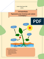 Kelompok 4 - XII IPA 6 - LKPD Fotosintesis