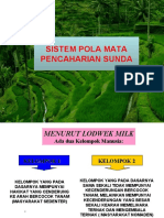 Sistem Pola Mata Pencaharian Hidup