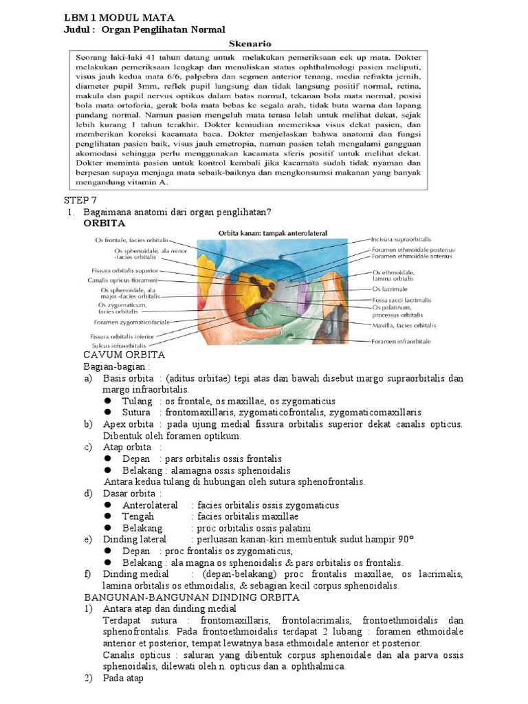 Anatomi Aditus Orbitae dan Struktur Mata | PDF | Seni | Sains & Matematika