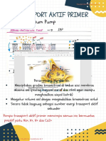 Transport Aktif Primer: Sodium-Pottasium Pump