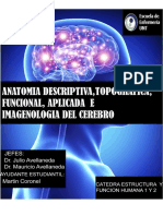 Monografia Del Cerebro