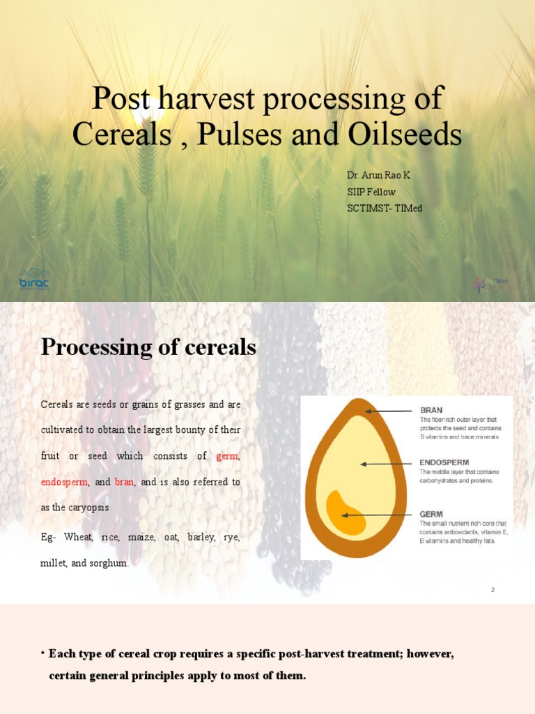 Post Harvesting Cereals, Pulses, Oilseeds PDF Rice Cereals