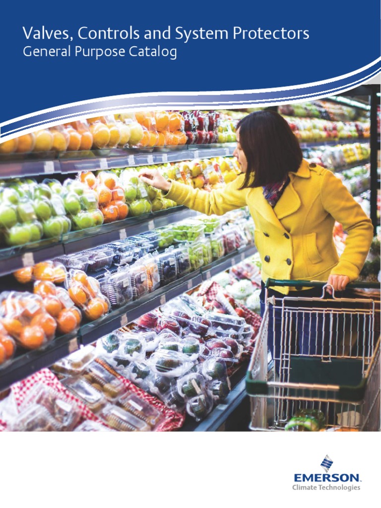 Emerson Valves Controls System Protectors Asia Catalog en SG 4217030