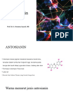 11. Antosianin, Betalain, Khlorofil dan Mioglobin