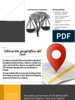 Caso SIRA PDF