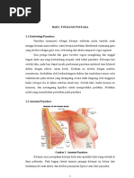 Download Ca mammae - by bugs_ndut SN57661818 doc pdf