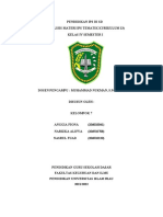 Analisis Materi IPS K13 KELOMPOK 7