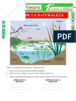 Seres de La Naturaleza: Seres Vivos O Seres No Vivos O Bióticos Abióticos