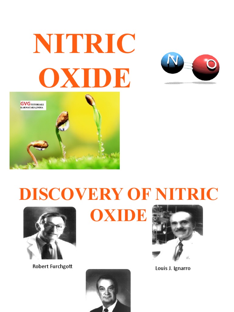 Nitric Oxide PDF Nitric Oxide Synthase Nitric Oxide