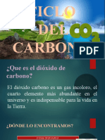 CICLO Carbono
