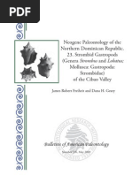 Download Strombus USA by Gianluigi Bini SN57664786 doc pdf