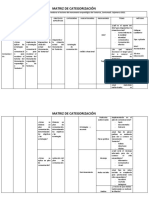 Matriz de Categorización