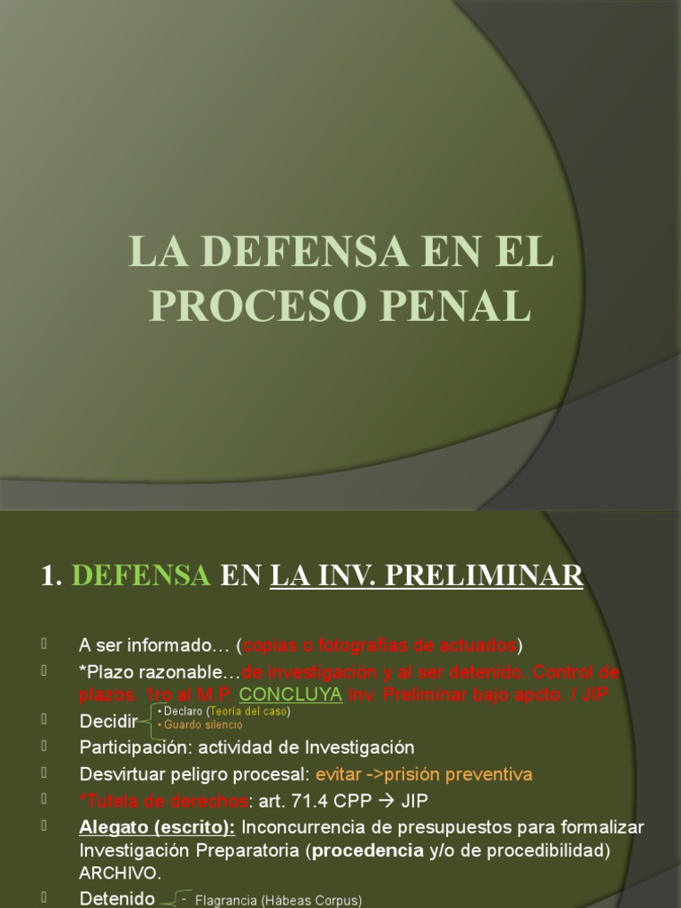 Defensa en el Proceso Penal | PDF | Derecho penal | Sentencia (ley)