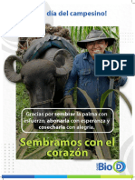 Afiche Dia Campesino