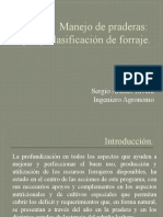 Clase N°1 Manejo de Praderas: Tipos y Clasificación de Forraje