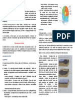 Impreso La Estructura de La Tierra