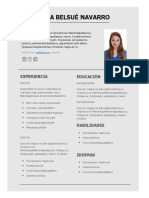 Plantilla CV 13 Gratis InfoJobs