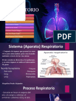 Aparato Respiratorio