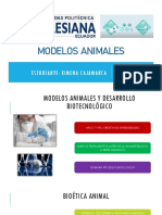 Modelos animales investigación