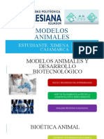 Modelos Animales en Biotecnología
