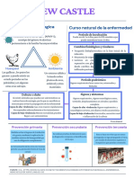 Hipotiroidismo canino: causas, síntomas y tratamiento