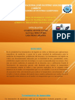 Medición de temperatura con termómetros de inmersión: Tipos, calibración y aplicaciones