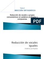 Tema 2 - Vocales y Consonantes en Prefijos (Diapositivas)