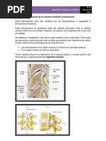 Download Articulaciones Columna Vertebral Continuacion 5 Parte by Ema Moraru SN57672731 doc pdf