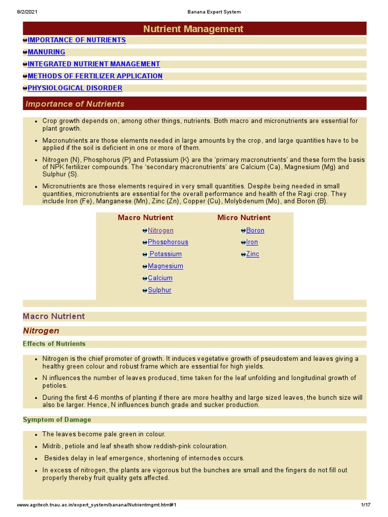 Banana Nutrient Management Expert System PDF Fertilizer Soil