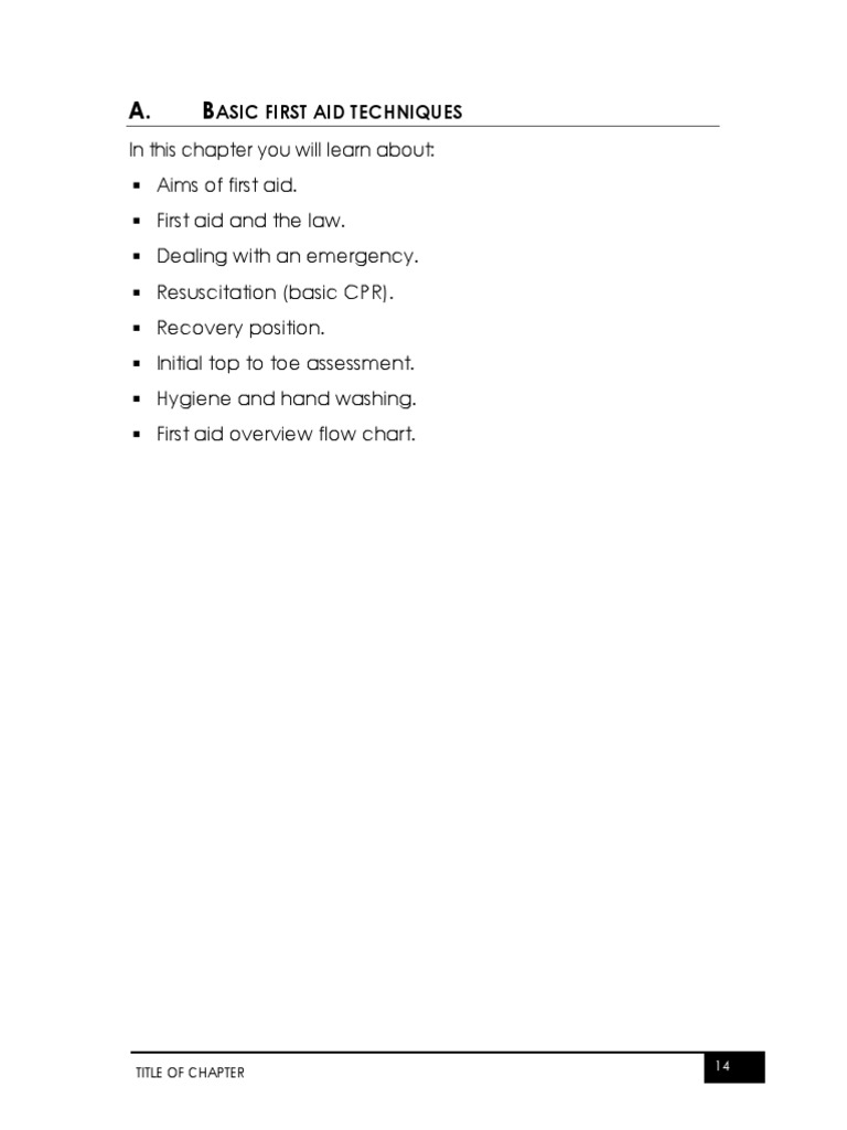First Aid Notes Eng2021 PDF Respiratory System Lung