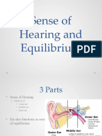 Sense of Hearing and Equilibrium