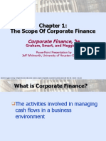 The Scope of Corporate Finance
